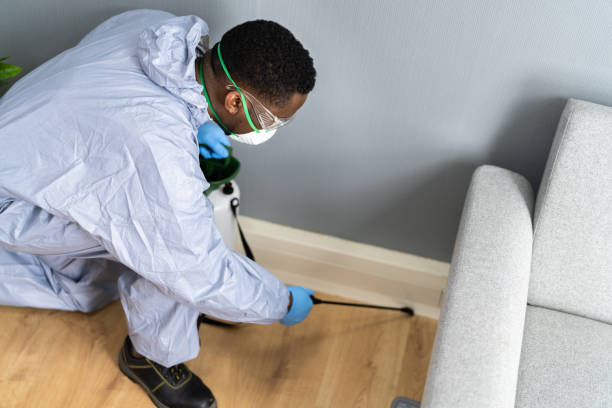 Professional Pest Control in Simpson, PA